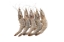 Frozen Shrimps (Large)