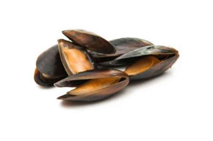 Frozen Whole Shell Mussels 500gm