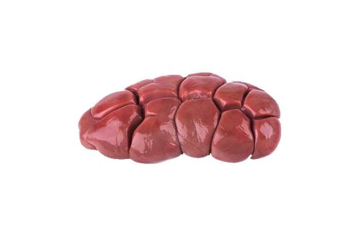 Fresh Balady Beef Kidney