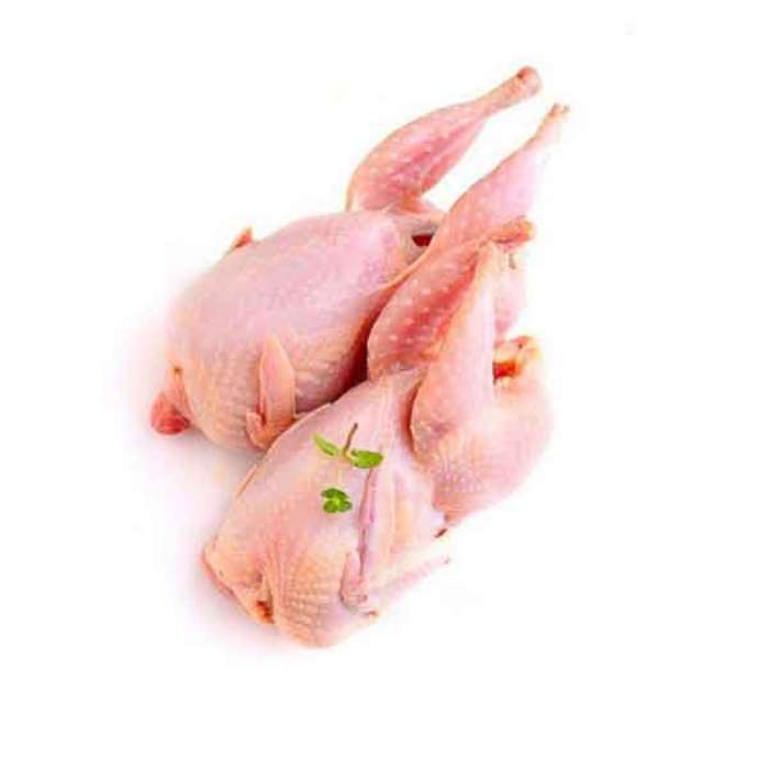 CUTZ Fresh Pigeon - 2 Pieces